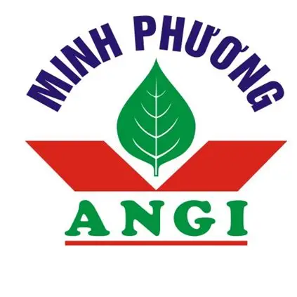 Minh Phương Angi Minh Phương Angi